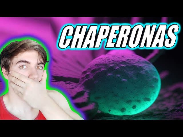 SIN ELLAS, TUS PROTEÍNAS NO FUNCIONARÍAN – TODO SOBRE LAS CHAPERONAS🔬