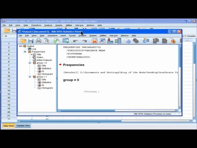 Levene's test - SPSS (part1)