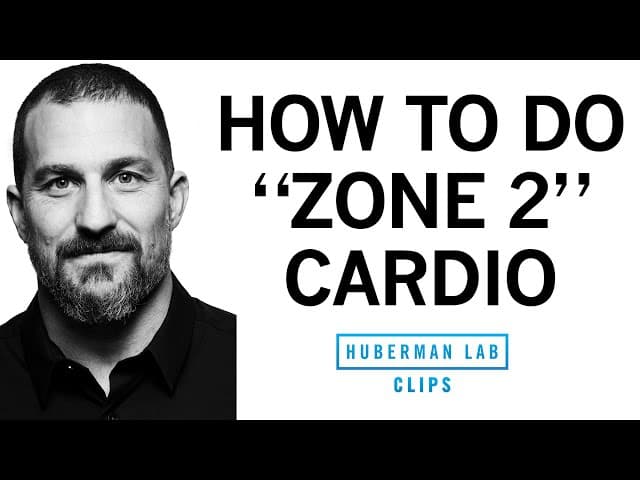 Thumbnail for How & Why to Get Weekly "Zone 2" Cardio Workouts | Dr. Andrew Huberman