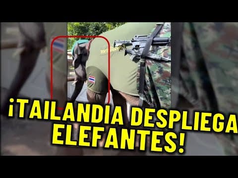 Thumbnail for ¡Tailandia, Myanmar y los ELEFANTES DE GUERRA!