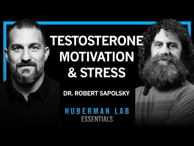 Essentials: Science of Stress, Testosterone, Aggression & Motivation | Dr. Robert Sapolsky