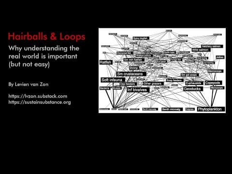 Thumbnail for Hairballs & Loops - Why understanding the real world is important (but not easy)