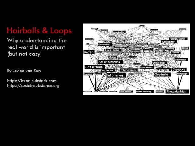 Thumbnail image for Hairballs & Loops - Why understanding the real world is important (but not easy)