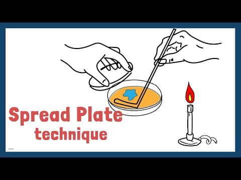 Thumbnail for How to use Spread Plate technique