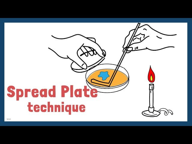 How to use Spread Plate technique cover