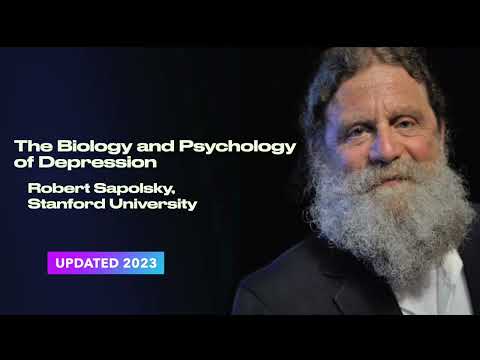 Thumbnail for Robert Sapolsky: The Biology and Psychology of Depression