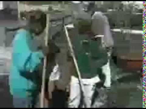 Thumbnail for ABCD Community Organizing - Case Study: Dudley Street