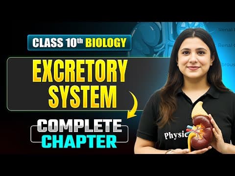 Thumbnail for EXCRETORY SYSTEM Complete Chapter | ICSE Class 10 Biology