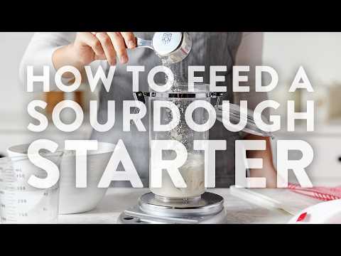 Thumbnail for Feeding and Maintaining a Sourdough Starter