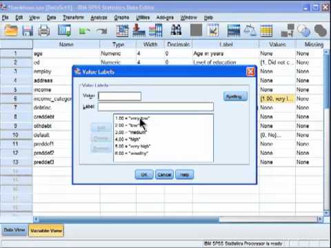 Thumbnail for Spearman Correlation - SPSS (part 1)