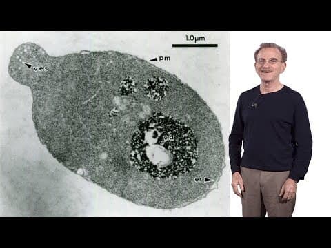 Randy Schekman (HHMI & UCB) 1: Secretory Pathway: How cells package & traffic proteins for export