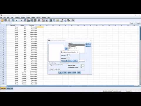 Thumbnail for Loglinear Analysis in SPSS with Assumption Testing