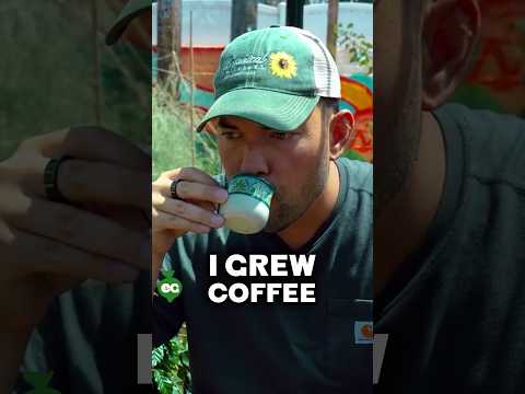 Thumbnail for I grew a cup of coffee...