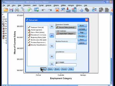 Thumbnail for Oneway ANOVA - SPSS (part 3)