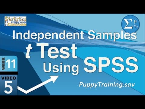 Thumbnail for How to do an Independent Samples t Test in SPSS (11-5)