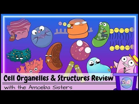 Thumbnail for Cell Organelles and Structures Review
