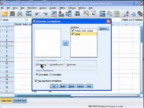 Thumbnail for Point Biserial Correlation - SPSS