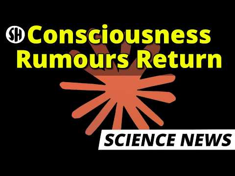 Thumbnail for AI Might Be Conscious, But Not As We Thought
