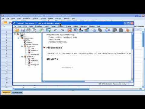 Levene's test - SPSS (part1)