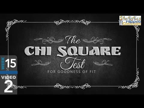 Thumbnail for The Chi-Square Goodness of Fit Test (15-2)