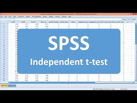 Thumbnail for Independent t-test - SPSS (Example 1)