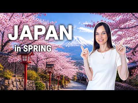 Japan’s BEST Cherry Blossom Spots, Travel Tips & Updates 2026