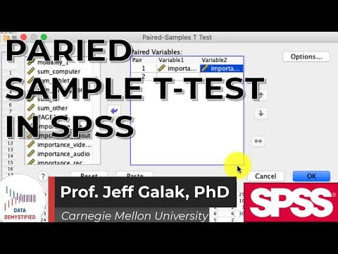 Thumbnail for Paired Sample t-Test in SPSS Tutorial (SPSS Tutorial Video #14) - Comparing Two Variables