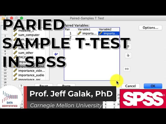 Paired Sample t-Test in SPSS Tutorial (SPSS Tutorial Video #14) - Comparing Two Variables cover