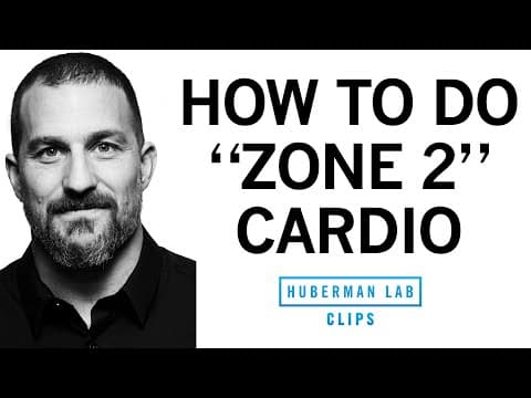 Thumbnail for How & Why to Get Weekly "Zone 2" Cardio Workouts | Dr. Andrew Huberman