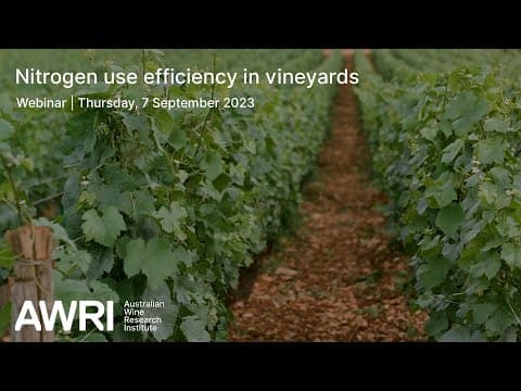 Thumbnail for Nitrogen use efficiency in vineyards