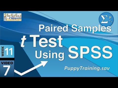 Thumbnail for How to do a Paired Samples t Test in SPSS (11-7)