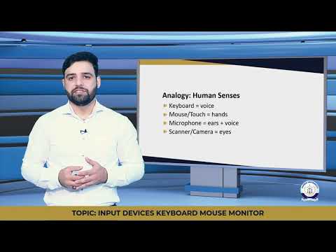 Introduction to Computer Applications Week 2 Lesson 3