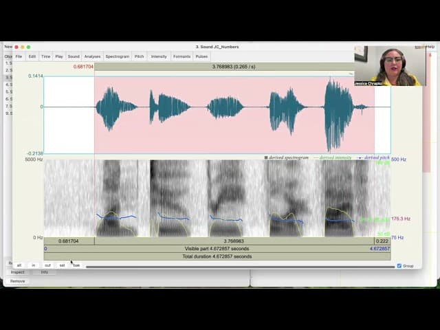 Voice Assessments and Acoustic Analysis with Praat cover
