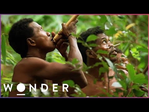 Thumbnail for This Hidden Tribe Hunt Jungle Animals With Deadly Precision | Man Hunt S1 E2 | Wonder