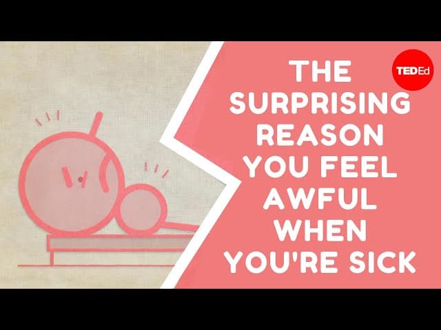 The surprising reason you feel awful when you're sick - Marco A. Sotomayor cover