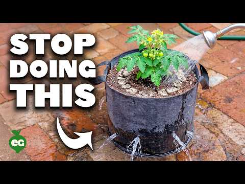 Thumbnail for These Grow Bag Mistakes Will Cost You Your Harvest
