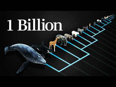 Thumbnail for Why does every mammal get 1 billion heartbeats in their life?