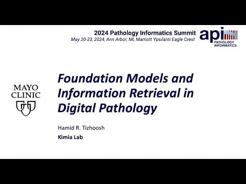 Thumbnail for Foundation Models and Information Retrieval in Digital Pathology