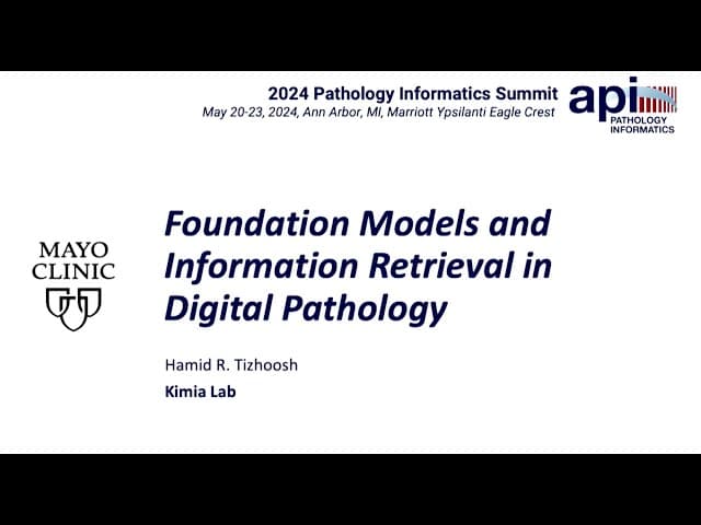 Foundation Models and Information Retrieval in Digital Pathology cover